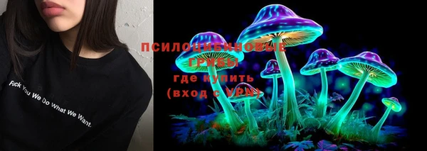 мяу мяу мука Абаза