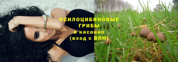 мяу мяу мука Абаза